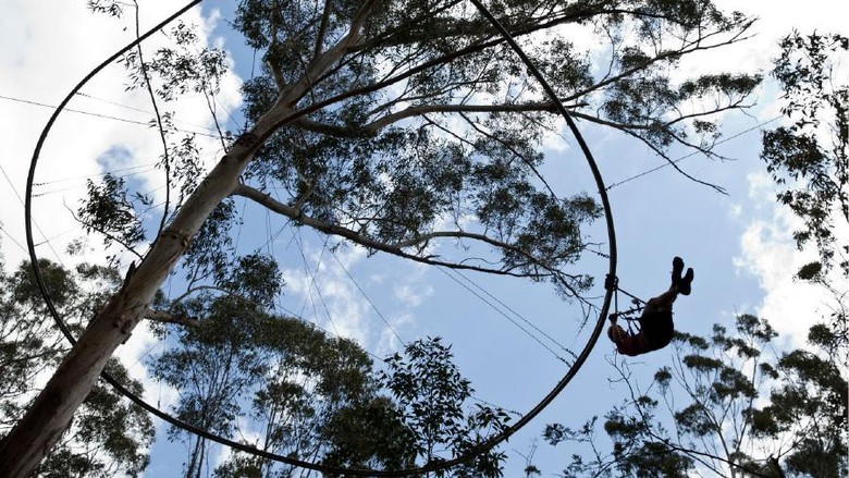 Foto: Gabungan roller coaster dengan flying fox di Australia (Dok. TreeTop Adventure Park) Foto: Gabungan roller coaster dengan flying fox di Australia (Dok. TreeTop Adventure Park)