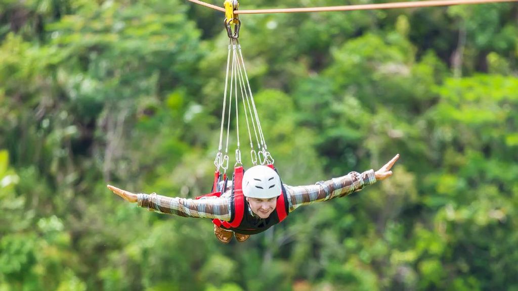 Main Flying Fox Yuk! Main Flying Fox Yuk!