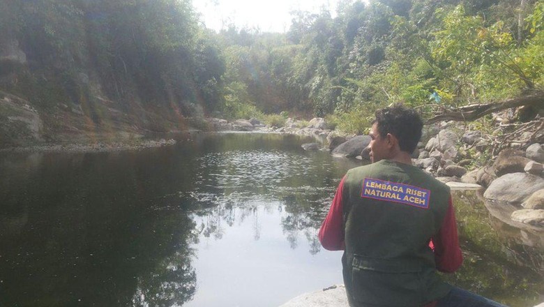 Tim Peneliti Susuri Hutan Aceh Besar Cari Kelelawar Vampir Tim Peneliti Susuri Hutan Aceh Besar Cari Kelelawar Vampir