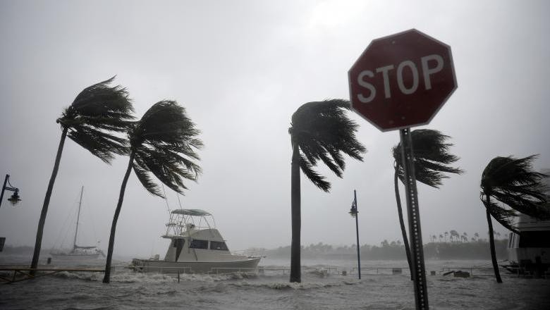 Badai Irma Tewaskan 3 Orang di Florida, Trump: Ini Monster Besar Badai Irma Tewaskan 3 Orang di Florida, Trump: Ini Monster Besar