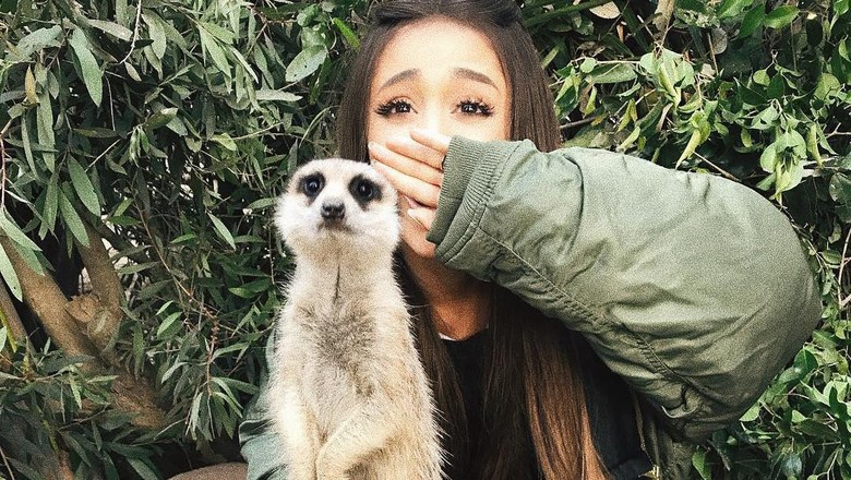 Ariana Grande saat foto bareng meerkat (arianagrande/Instagram) Ariana Grande saat foto bareng meerkat (arianagrande/Instagram)