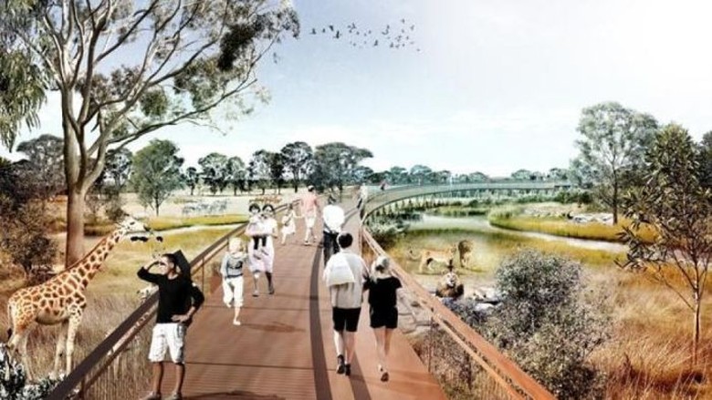 Kebun Binatang Tanpa Kandang Akan Dibuka di Sydney Kebun Binatang Tanpa Kandang Akan Dibuka di Sydney