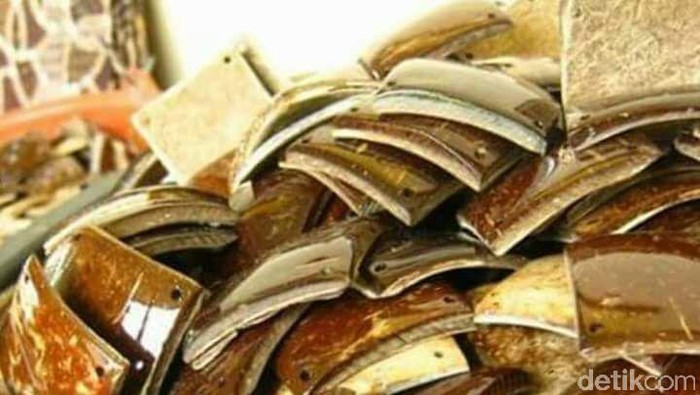 Mengintip Bisnis Kerajinan Batok Kelapa Beromzet Rp 20 Juta/Bulan Mengintip Bisnis Kerajinan Batok Kelapa Beromzet Rp 20 Juta/Bulan