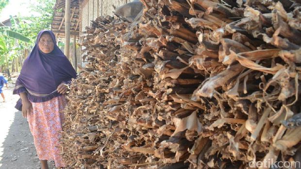 Dari hasil penjualan eceng gondok, rata-rata per minggu Farida mampu meraup keuntungan Rp100.000 hingga Rp150.000.