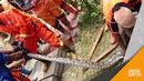 Video Pasukan Oranye Temukan Ular Sanca 4 Meter di Got Video Pasukan Oranye Temukan Ular Sanca 4 Meter di Got