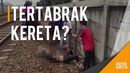 Pria Bertato Ditemukan Tewas di Rel Kereta Cipinang Pria Bertato Ditemukan Tewas di Rel Kereta Cipinang
