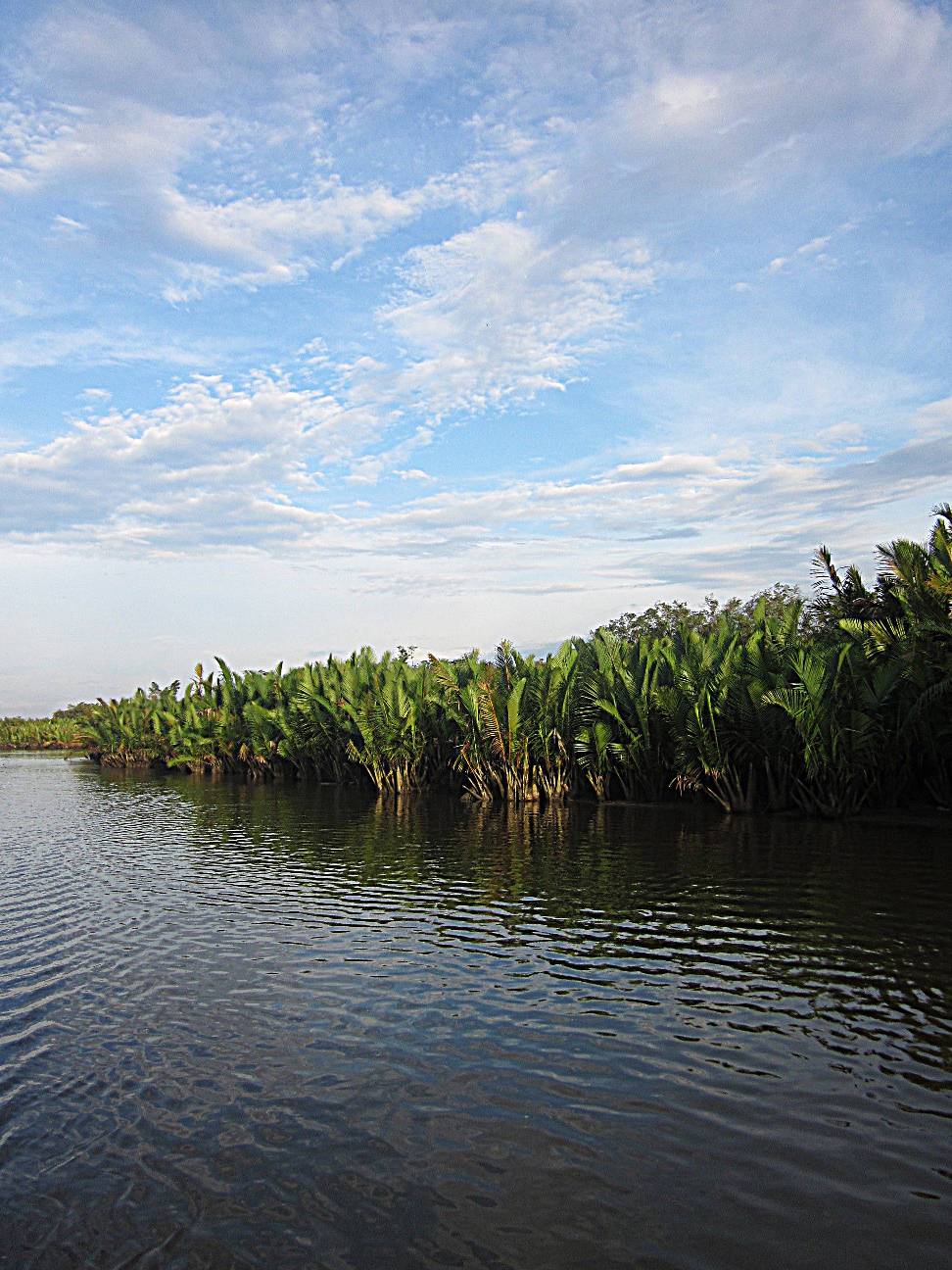 Taman Nasional Tanjung Puting, Kalimantan Tengah