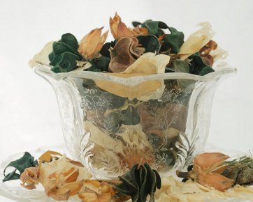 5 Cara Membuat Pengharum Ruangan Alami dari Tanaman Herbal 5 Cara Membuat Pengharum Ruangan Alami dari Tanaman Herbal