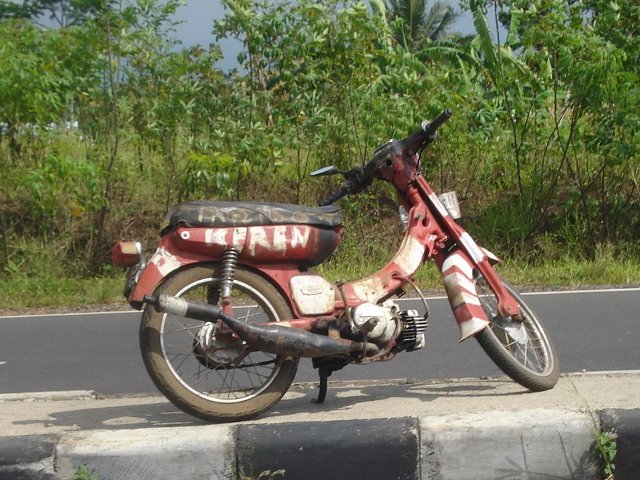 mtor