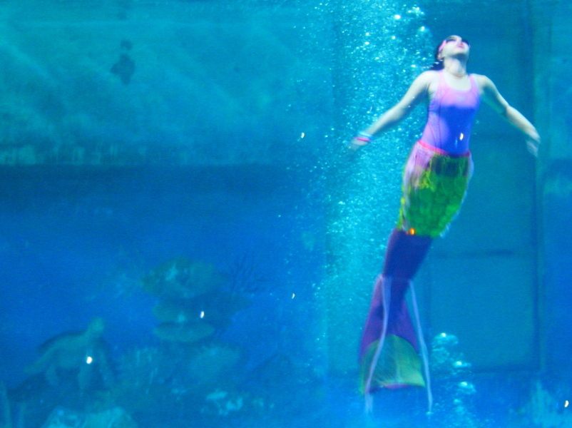 Kisah Putri Duyung Cantik di Ocean Dream Samudera, Ancol