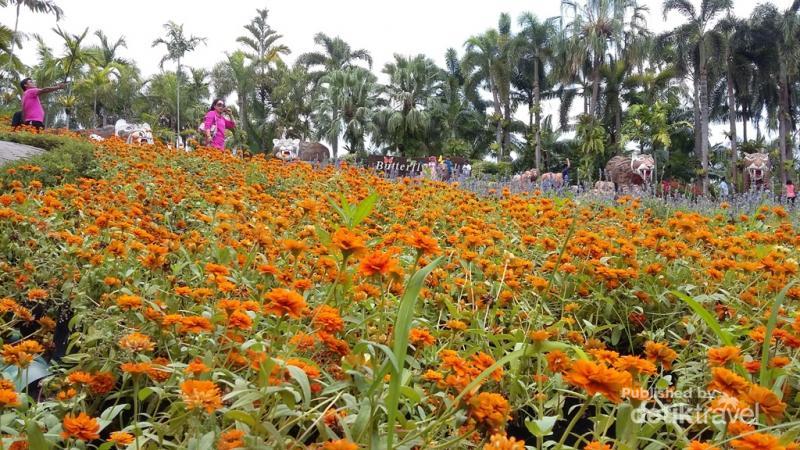 Nong Nooch Village, Taman Warna-warni di Thailand