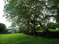 Kompleks Benteng Liya Togo - Wangi-wangi Kompleks Benteng Liya Togo - Wangi-wangi