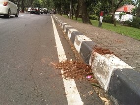 Kronologi Penembakan Waria Taman Lawang Versi Korban Kronologi Penembakan Waria Taman Lawang Versi Korban