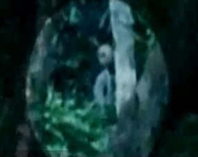 Alien Tertangkap Kamera Video di Hutan Amazon Alien Tertangkap Kamera Video di Hutan Amazon