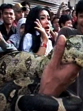 Ini Dia Artis yang Phobia Terhadap Binatang Ini Dia Artis yang Phobia Terhadap Binatang