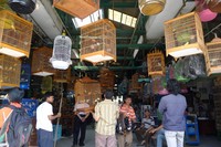 Suasana pintu masuk Pasar Burung (dok. Sastri/ detikTravel) Suasana pintu masuk Pasar Burung (dok. Sastri/ detikTravel)