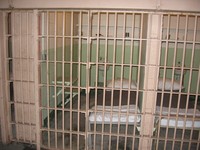 Penjara di Alcatraz (en.wikipedia.org) Penjara di Alcatraz (en.wikipedia.org)