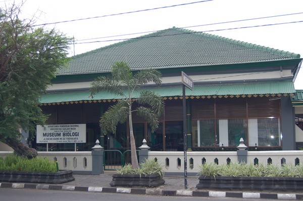 Museum Biologi (Sumber: pariwisata.jogja.go.id) Museum Biologi (Sumber: pariwisata.jogja.go.id)