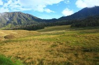 Oro-oro Ombo, Semeru (Yudith/ dTraveler) Oro-oro Ombo, Semeru (Yudith/ dTraveler)