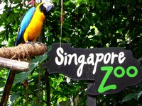 Selamat datang di Singapore Zoo! Selamat datang di Singapore Zoo!