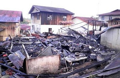 Selamat dari Kebakaran Gara-gara Gonggongan Anjing Selamat dari Kebakaran Gara-gara Gonggongan Anjing