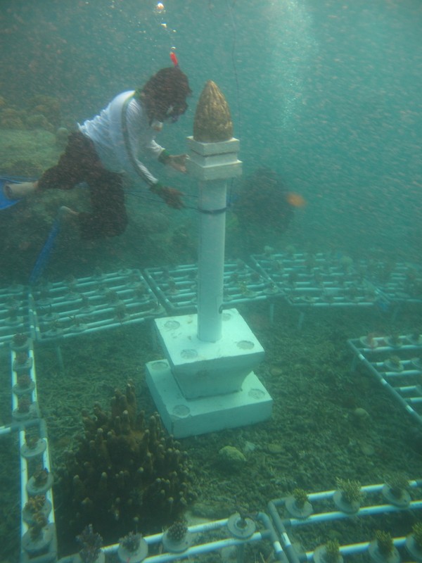 Wow! Ada Monas di Dalam Laut Kepulauan Seribu