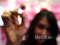 Waralaba Australia Tawarkan Peluang Usaha Waralaba Australia Tawarkan Peluang Usaha