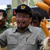 Mentan: Kenaikan Harga Kedelai, Bagus Buat Petani Mentan: Kenaikan Harga Kedelai, Bagus Buat Petani