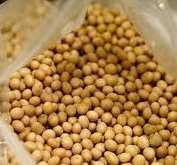 Harga Kedelai Naik, Petani Hanya Menikmati Ampas Saja Harga Kedelai Naik, Petani Hanya Menikmati Ampas Saja