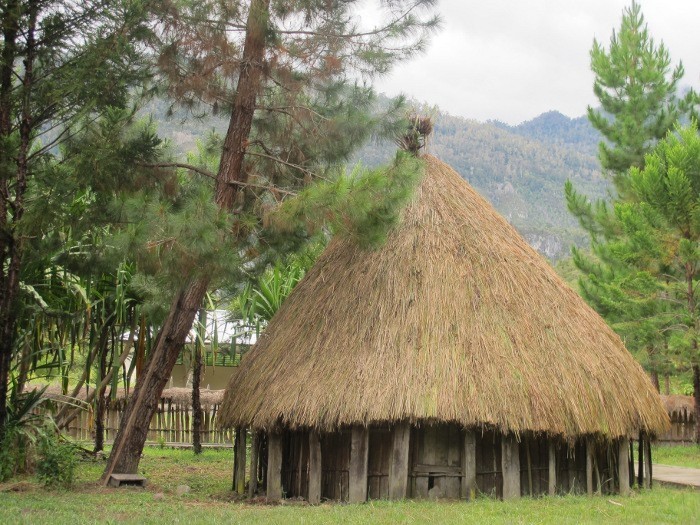 Honai di Distrik Wosilimo, Papua (Sastri/ detikTravel) Honai di Distrik Wosilimo, Papua (Sastri/ detikTravel)