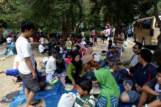 Salah satu keluarga yang asyik menikmati makan siang di bawah pohon (Desi Puspasari/detikTravel) Salah satu keluarga yang asyik menikmati makan siang di bawah pohon (Desi Puspasari/detikTravel)