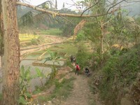 perjalan awal melewati pesawahan perjalan awal melewati pesawahan