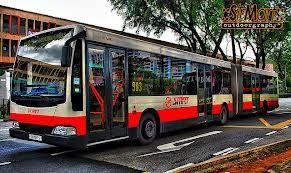 Siapa Mau Jadi Supir Bus di Singapura? Gajinya Rp 23 Juta/Bulan Lho.. Siapa Mau Jadi Supir Bus di Singapura? Gajinya Rp 23 Juta/Bulan Lho..