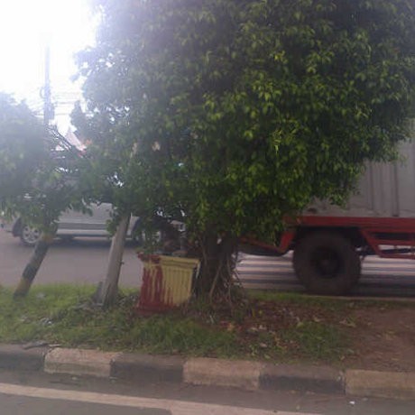 Kecelakaan Motor di Kalimalang, Faisal Nyangkut di Pohon Beringin Kecelakaan Motor di Kalimalang, Faisal Nyangkut di Pohon Beringin