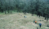 Jalur menuju Gunung welirang dari gunung Arjuno. Jalur menuju Gunung welirang dari gunung Arjuno.