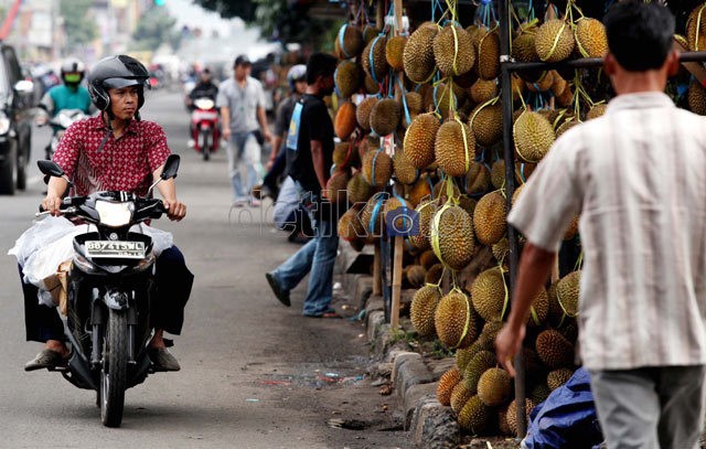 Pengusaha Anggap Aneh dan Lucu Aturan Larangan Impor Buah dan Sayur Pengusaha Anggap Aneh dan Lucu Aturan Larangan Impor Buah dan Sayur