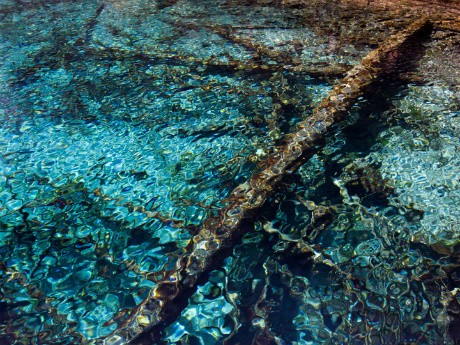 ( Foto bernuansa abstrak seperti tekstur pantulan di air ini memang tidak membutuhkan subjek, tapi tetap perlu ditata supaya rapi dan terlihat menarik. Saya mengatur batang pohon dalam posisi diagonal supaya terlihat lebih dinamis) ( Foto bernuansa abstrak seperti tekstur pantulan di air ini memang tidak membutuhkan subjek, tapi tetap perlu ditata supaya rapi dan terlihat menarik. Saya mengatur batang pohon dalam posisi diagonal supaya terlihat lebih dinamis)