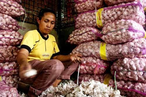 Gita Wirjawan: Harga Bawang Putih Naik Karena Kita Ketergantungan Impor Gita Wirjawan: Harga Bawang Putih Naik Karena Kita Ketergantungan Impor