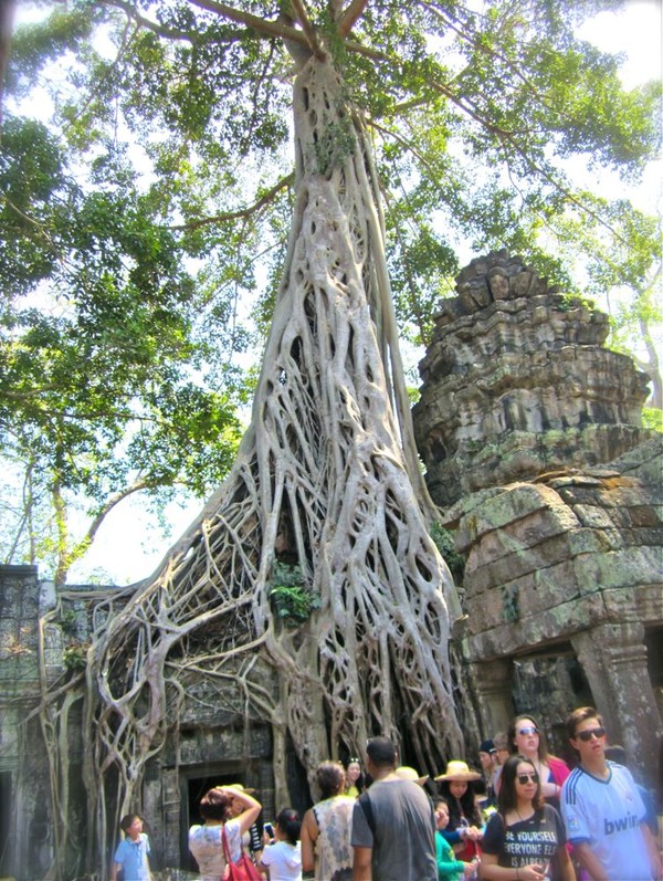 Mengungkap Misteri Hilangnya Kota Angkor, Kamboja