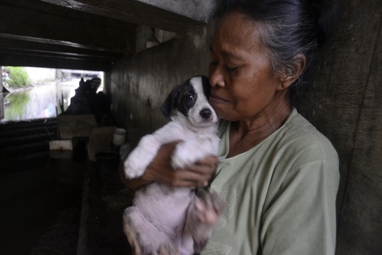 Kisah Mak Tun, Wanita Sebatang Kara Pelindung Anjing di Kolong Jembatan Kisah Mak Tun, Wanita Sebatang Kara Pelindung Anjing di Kolong Jembatan