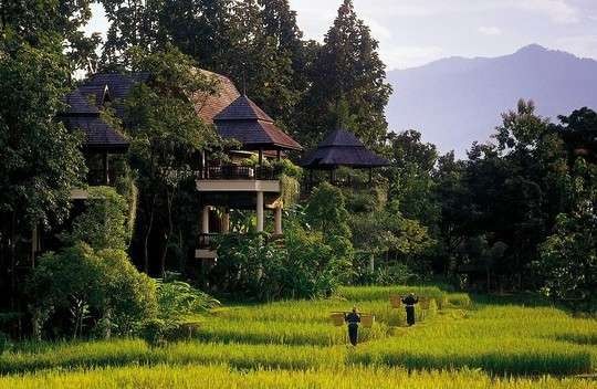 Hijaunya alam Chiangmai (skvots.ne) Hijaunya alam Chiangmai (skvots.ne)