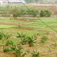Selain Uang, Tanah & Saham Bisa Jadi Kompensasi Masyarakat yang Kena Gusur Selain Uang, Tanah & Saham Bisa Jadi Kompensasi Masyarakat yang Kena Gusur