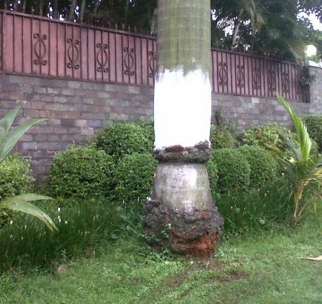 Ini Dia Lokasi Kecelakaan Ustad Uje di Pondok Indah Ini Dia Lokasi Kecelakaan Ustad Uje di Pondok Indah