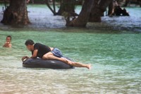 Mandi di Sekitar Pepohonan Pantai Mandi di Sekitar Pepohonan Pantai