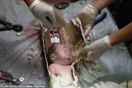 Bayi Baru Lahir di China Berhasil Diselamatkan dari Pipa Toilet Bayi Baru Lahir di China Berhasil Diselamatkan dari Pipa Toilet