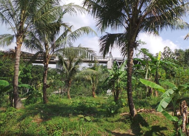 Pemandangan di jalan Tol Semarang-Bawen yang serba hijau (Rivki/detikTravel) Pemandangan di jalan Tol Semarang-Bawen yang serba hijau (Rivki/detikTravel)