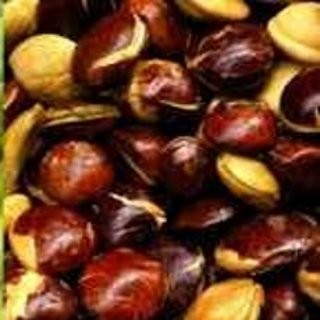 Harga Jengkol di Jakarta Hampir Dua Kali Harga Daging Ayam Harga Jengkol di Jakarta Hampir Dua Kali Harga Daging Ayam