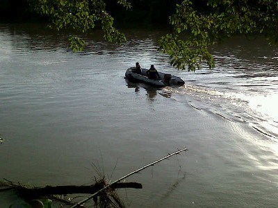 Lumba-lumba yang Nyasar di Sungai Gagal Digiring ke Laut Lumba-lumba yang Nyasar di Sungai Gagal Digiring ke Laut