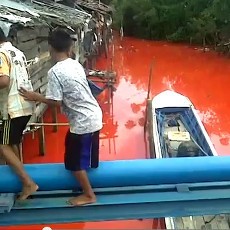 Polisi Duga Kuat Air Sungai Bontang Berubah Merah karena Larutan Pewarna Polisi Duga Kuat Air Sungai Bontang Berubah Merah karena Larutan Pewarna