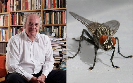 Kisah Jeffrey Si Lalat, Di Twitter Berseri Novelis Philip Pullman Kisah Jeffrey Si Lalat, Di Twitter Berseri Novelis Philip Pullman